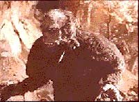 Image from: Half Human: The Story of the Abominable Snowman (1958)