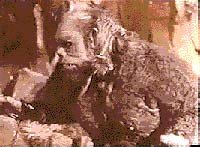 Image from: Half Human: The Story of the Abominable Snowman (1958)