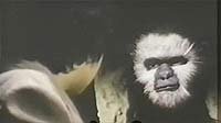 Image from: Time of the Apes (1987)
