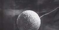Image from: Crash of Moons (1954)
