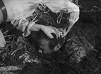 Image from: Leech Woman, The (1960)