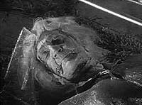 Image from: Leech Woman, The (1960)