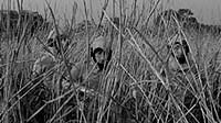Image from: Yusei Oji (1959)