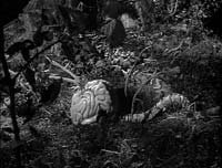 Image from: Fiend Without a Face (1958)