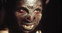 Image from: Bat People, The (1974)