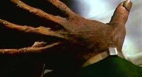Image from: Bat People, The (1974)