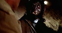Image from: Bat People, The (1974)