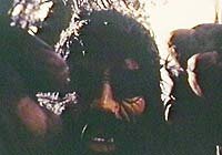 Image from: Beauties and the Beast (1974)