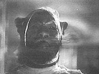 Image from: Island of Lost Souls (1932)