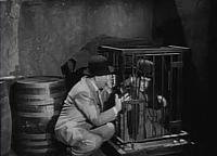 Image from: Abbott and Costello Meet Dr.Jekyll and Mr.Hyde (1953)