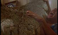 Image from: Crocodile (2000)