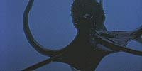 Image from: Octopus (2000)