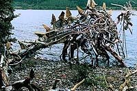 Image from: Loch Ness (1996)