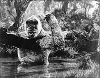 Image from: Son of Kong, The (1933)