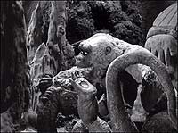 Image from: Son of Kong, The (1933)