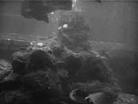 Image from: Creature from the Haunted Sea (1961)