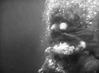 Image from: Creature from the Haunted Sea (1961)