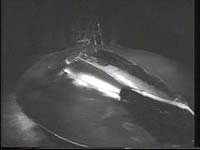 Image from: Flying Saucer, The (1950)