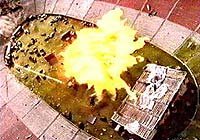 Image from: Last Man on Planet Earth, The (1999)