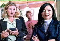 Image from: Last Man on Planet Earth, The (1999)
