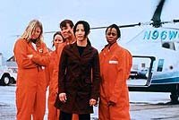 Image from: Last Man on Planet Earth, The (1999)
