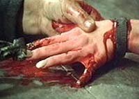 Image from: Bestia in Calore, La (1977)