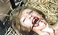 Image from: Bestia in Calore, La (1977)