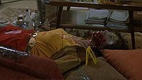 Image from: Mansquito (2005)