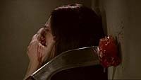 Image from: Shelf Life (2004)