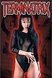 Terminatrix (1995) Poster