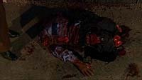 Image from: Bugs (2003)