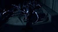 Image from: Bugs (2003)