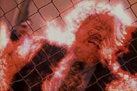 Image from: Invasion (1997)