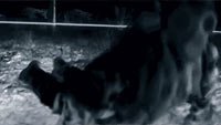 Image from: Area 51 (2015)