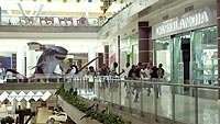 Image from: Sharktopus vs. Whalewolf (2015)