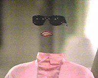 Image from: Invisible Woman, The (1983)