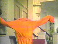 Image from: Invisible Woman, The (1983)