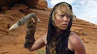 Image from: Survivor (2014)