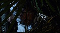 Image from: After Exodus (2014)