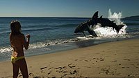 Image from: Sand Sharks (2012)