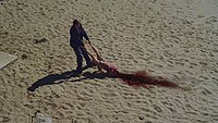 Image from: Sand Sharks (2012)