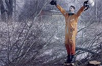 Image from: Cosmonaut, The (2013)