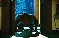 Image from: Creature (2014)