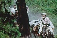Image from: Sasquatch: The Legend of Bigfoot (1976)