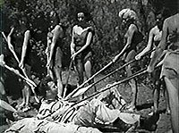 Image from: Untamed Women (1952)