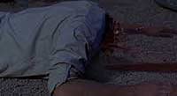 Image from: Savage Planet (2007)