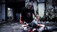 Image from: Apocalypse Z (2013)