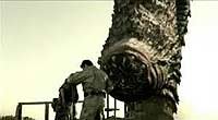 Image from: Sand Serpents (2009)