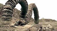 Image from: Sand Serpents (2009)
