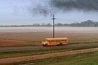 Image from: Locusts (2005)
